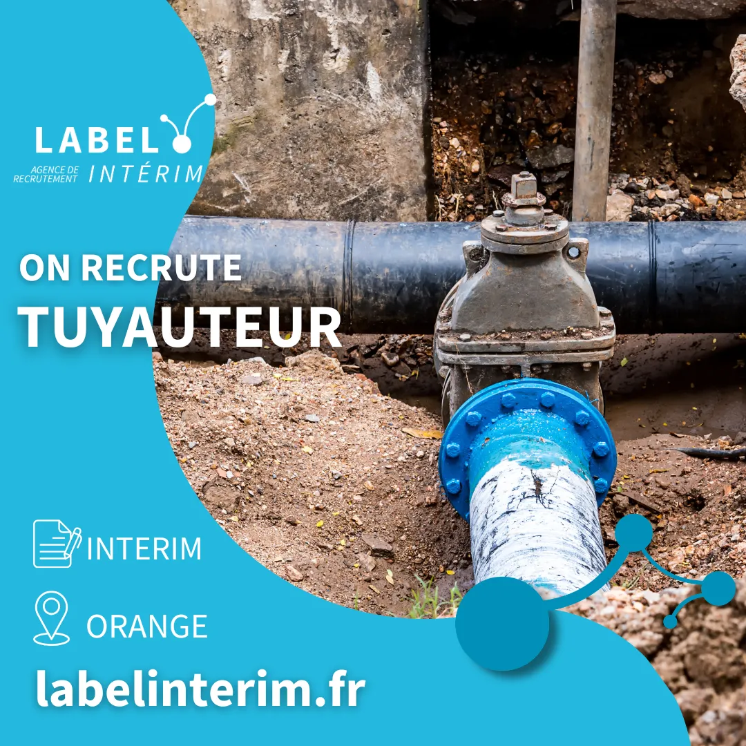 Offre d'emploi TYAUTEUR